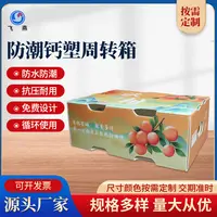 PE水果沃柑周轉透氣(qi)箱防潮(chao)PE水果中(zhong)轉運輸(shu)箱 水果蔬菜展(zhan)示周轉箱