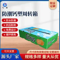 PE水果中(zhong)空闆箱 防潮(chao)橙子(zi)保鮮運輸(shu)箱 水果蔬菜運輸(shu)箱鈣塑周轉箱