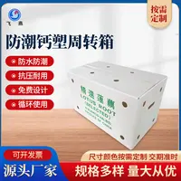鈣塑周轉箱廠(chǎng)傢(jia) 零件刀(dāo)卡原料PE鈣塑中(zhong)轉運輸(shu)箱 周轉中(zhong)空闆食品(pin)箱