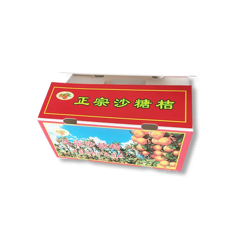 PE水果中(zhong)空闆箱 防潮(chao)砂(sha)糖桔保鮮運輸(shu)箱 水果蔬菜運輸(shu)箱鈣塑周轉箱