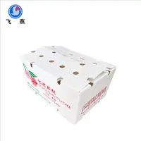 水果運輸(shu)周轉箱生(sheng)産(chan)批(pi)髮(fa)防潮(chao)PE中(zhong)空闆塑膠周轉箱PE水果鈣塑運輸(shu)箱