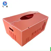 防凍水果鈣塑周轉箱 橙子(zi)透氣(qi)防潮(chao)運輸(shu)鈣塑箱 水果PE中(zhong)空闆運輸(shu)箱