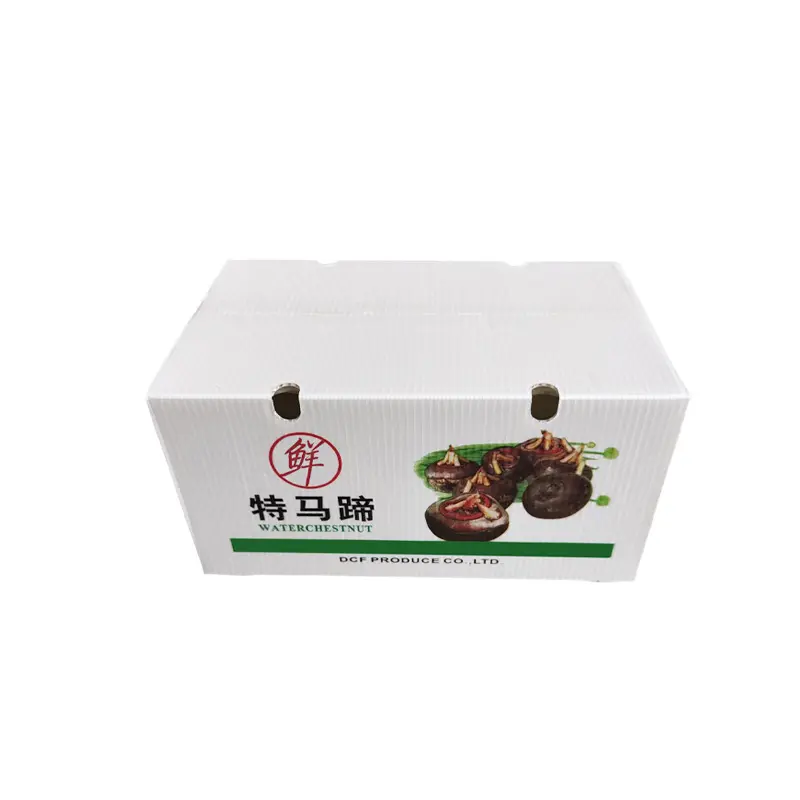新(xin)鮮馬蹄周轉箱運輸(shu)包裝(zhuang)白色中(zhong)空闆防壓防摔鈣塑生(sheng)鮮周轉運輸(shu)箱