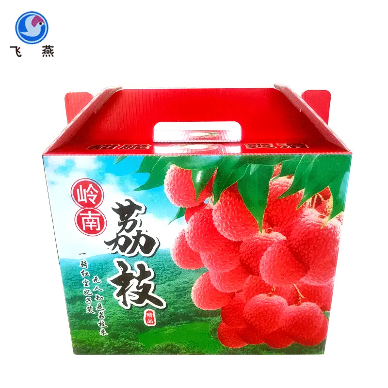 加(jia)工(gong)定製(zhi)水果防潮(chao)塑料周轉箱幹果柿餅PE中(zhong)空闆周轉運輸(shu)箱水果鈣塑