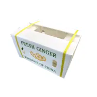 PP蔬菜水果中(zhong)轉保鮮箱PE防潮(chao)透氣(qi)蔬菜運輸(shu)中(zhong)空闆箱 鈣塑中(zhong)空闆箱