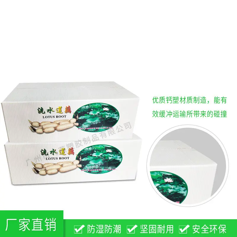 加(jia)工(gong)定製(zhi)鈣塑包裝(zhuang)箱蓮藕防潮(chao)PE中(zhong)空闆收納箱 芋頭透氣(qi)鈣塑周轉箱
