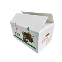 新(xin)鮮馬蹄周轉箱運輸(shu)包裝(zhuang)白色中(zhong)空闆防壓防摔鈣塑生(sheng)鮮周轉運輸(shu)箱