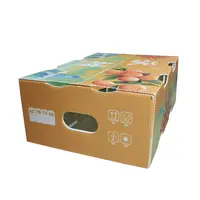 PE水果沃柑周轉透氣(qi)箱防潮(chao)PE水果中(zhong)轉運輸(shu)箱 水果蔬菜展(zhan)示周轉箱