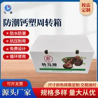 新(xin)鮮馬蹄周轉箱運輸(shu)包裝(zhuang)白色中(zhong)空闆防壓防摔鈣塑生(sheng)鮮周轉運輸(shu)箱