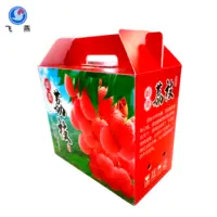加(jia)工(gong)定製(zhi)水果防潮(chao)塑料周轉箱幹果柿餅PE中(zhong)空闆周轉運輸(shu)箱水果鈣塑